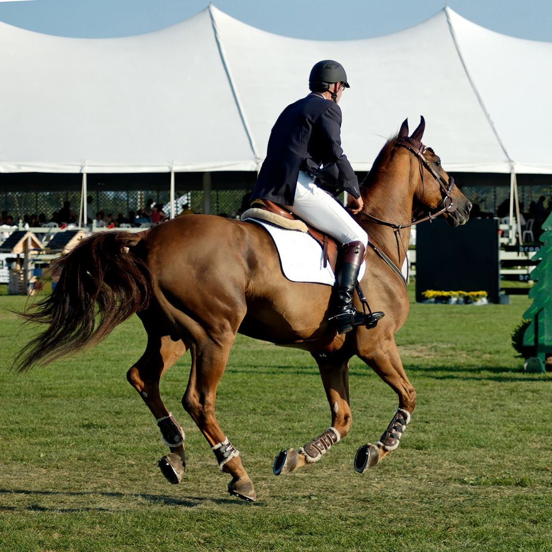 Steeplechase of Charleston Event